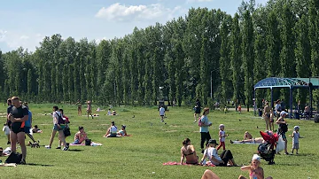 Опрос: как красноярцы относятся к сусликам на Татышевe