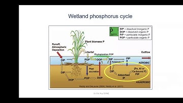 Phosphorus in Soil and Water: Important Concepts and Emerging Questions