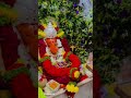 बप्पा मोरिया🙌🏻🙇🏻 #ganpati #ganeshchaturthi #2026 #sidhvinayak #shorts #status #chaturthi2026 #video