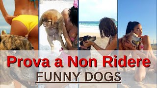 🐶 VIRAL DOGS #19 🐾 Funny Dog Vines compilation - TRY NOT TO LAUGH