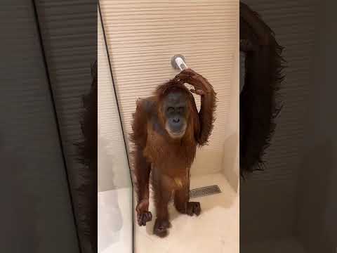 حبوبة تحب النظافة