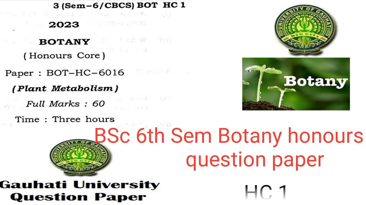 BSc 6th semester botany honours question paper HC 1 plant metabolism