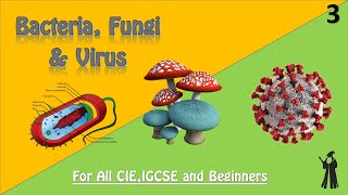 IGCSE Biology | Bacteria, Fungi & Virus #3