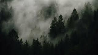 Enamore - Unpleasant Path (Slowed and Reverb)