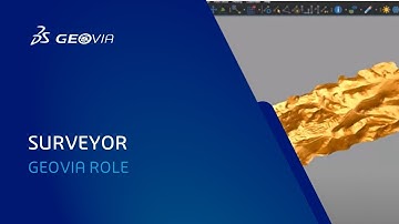 Surveyor Role | Surpac | GEOVIA