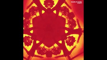 Boards Of Canada - Geogaddi (Reversed)