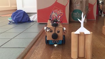 2019 TI Codes Contest: Sonic Squealer