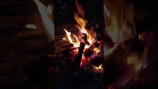 Dağlar Türküsü Ve Meşe Ateşi