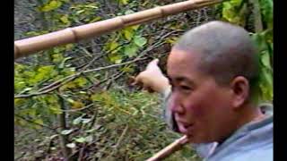 Hermits1