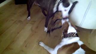 VID-20120604-00003