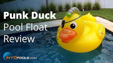 Punk Duck Pool Float Review