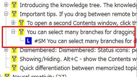 Why Clozing Creates a Child Element in SuperMemo?