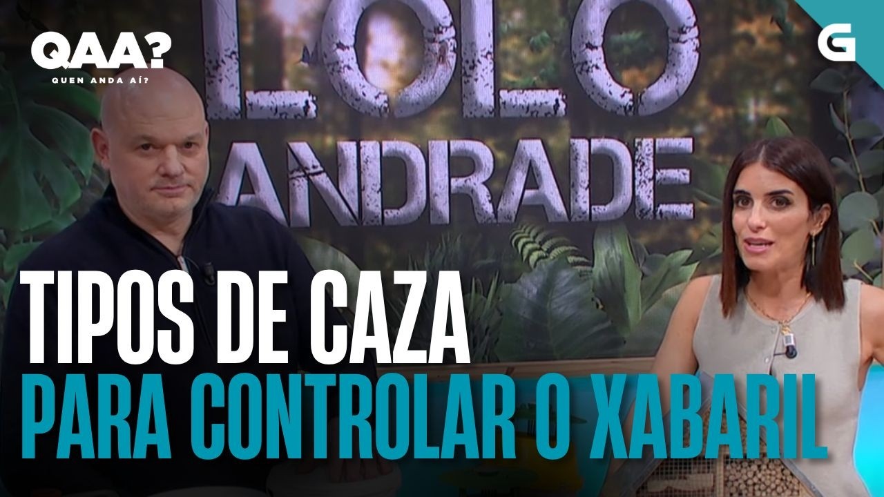Tipos de CAZA para controlar o XABARIL | QUEN ANDA AÍ