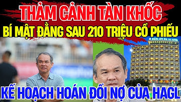Hoàng Anh Gia Lai Bất Ngờ Hoán Đổi Nợ Bằng 210 Triệu Cổ Phiếu – Cú Lật Bài Đầy Toan Tính!| Thấu Kính