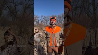 The Perfect Pheasant Hunt ☀️