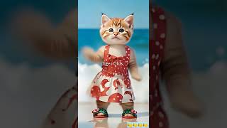 Cat girl dance latin  🍰🍰🍰🥤🥤🥤 #cat  #cute #dance  #shorts
