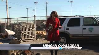 City of Lebanon Taking Action in Response to Alleged Internal Theft-Meagan O'Halloran