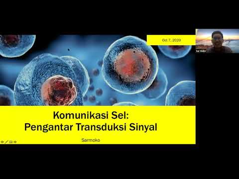 Video: Peran Pensinyalan RGMa-neogenin Pada Peradangan Dan Angiogenesis