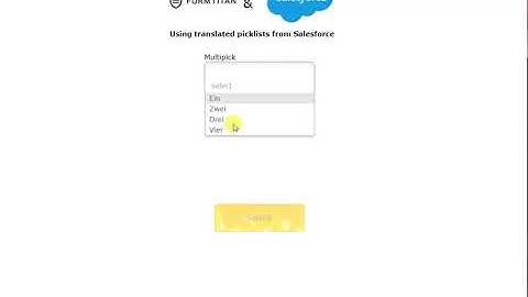 Get translated Salesforce picklist to your form