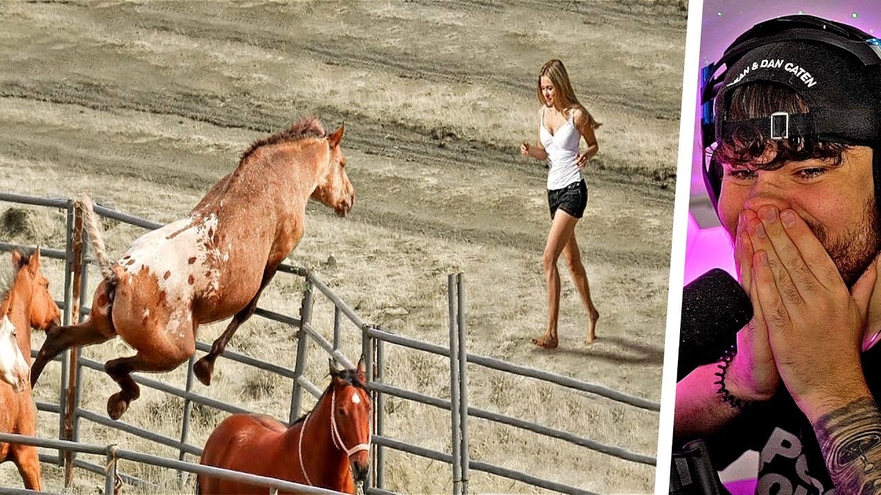 9 Vermisste Tiere, die ihre Besitzer nach Jahren wieder treffen!