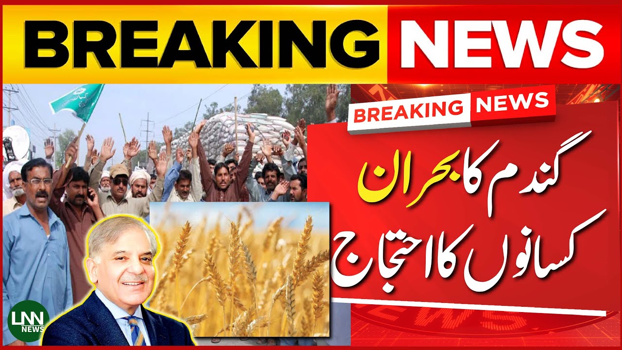 Wheat Crisis in Punjab | farmers postpone protest | Govt In Action ...