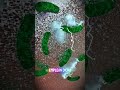 IMPLANTE DENTAL del futuro ⚡🦷 Tu próximo IMPLANTE DENTAL podría generar ELECTRICIDAD mientras ma...