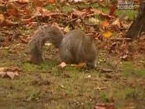 why are we here ? pt1