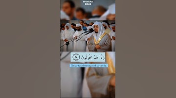 Yasser al Dosari || Araf Suresi || Surah Araf || سورة الأعراف || ياسر الدوسر