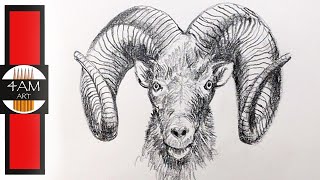 How to Draw a Realistic BIG HORN RAM, Step by Step, Pencil Drawing