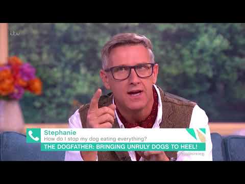 How Do I Stop My Dog Eating Everything? | This Morning