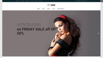 Ap Basic Shopify Theme - apollotheme.com