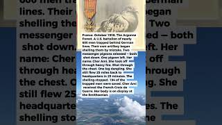 1 American Pigeon Flew Through German Bullets to Save 194 Trapped Soldiers in WWI | Military