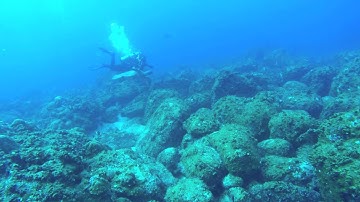 Galapagos part 2 2014A