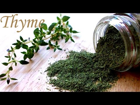 Gia vị Lá thơm nấu ăn - Cách dùng Hương Thảo Tây Rosemary & Thyme Xạ Hương Tây cho món ngon châu Âu