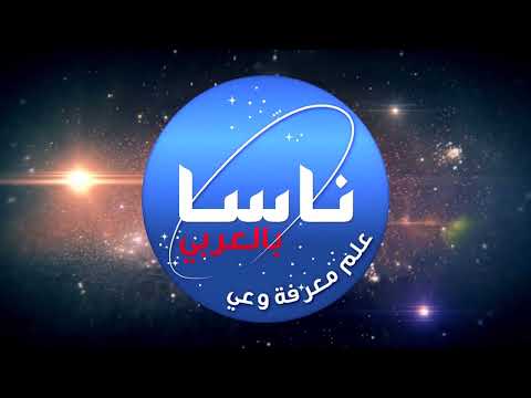 ريتشارد فاينمان " قصيدة إلى وردة"