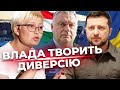 Права нацменшин в Україні | владо, політики – ви де? | слабка мовна стійкість | НІЦОЙ