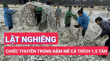 Trúng đậm mẻ cá trích 1,5 tấn, chiếc thuyền lật nghiêng, ngư dân cùng nhau ứng cứu