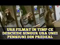 Urs filmat in timp ce isi deschide usa singur si intra intr-o pensiune din Predeal