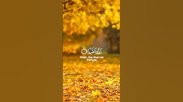 هدوء وراحة سورة الاخلاص بصوت فضيلة الشيخ فارس عباد ❤️‍🩹#قران كريم #راحة نفسية # هدوء