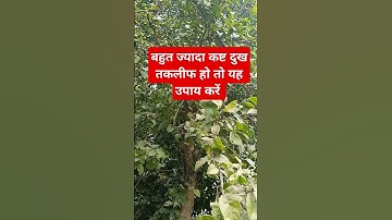 बहुत ज्यादा कष्ट दुख तकलीफ हो तो यह उपाय करें !! #pandit_pradeep_ji_mishra #upay