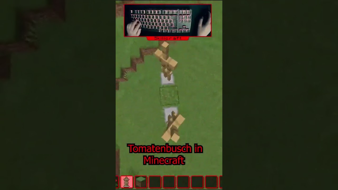 Tomatenstrauch in Minecraft Bauhack