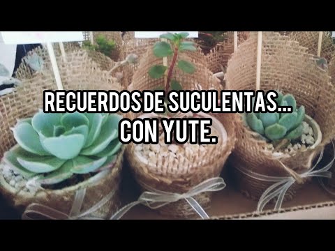 Video: Hogar verde y moderno con detalles rústicos y vistas de la ciudad