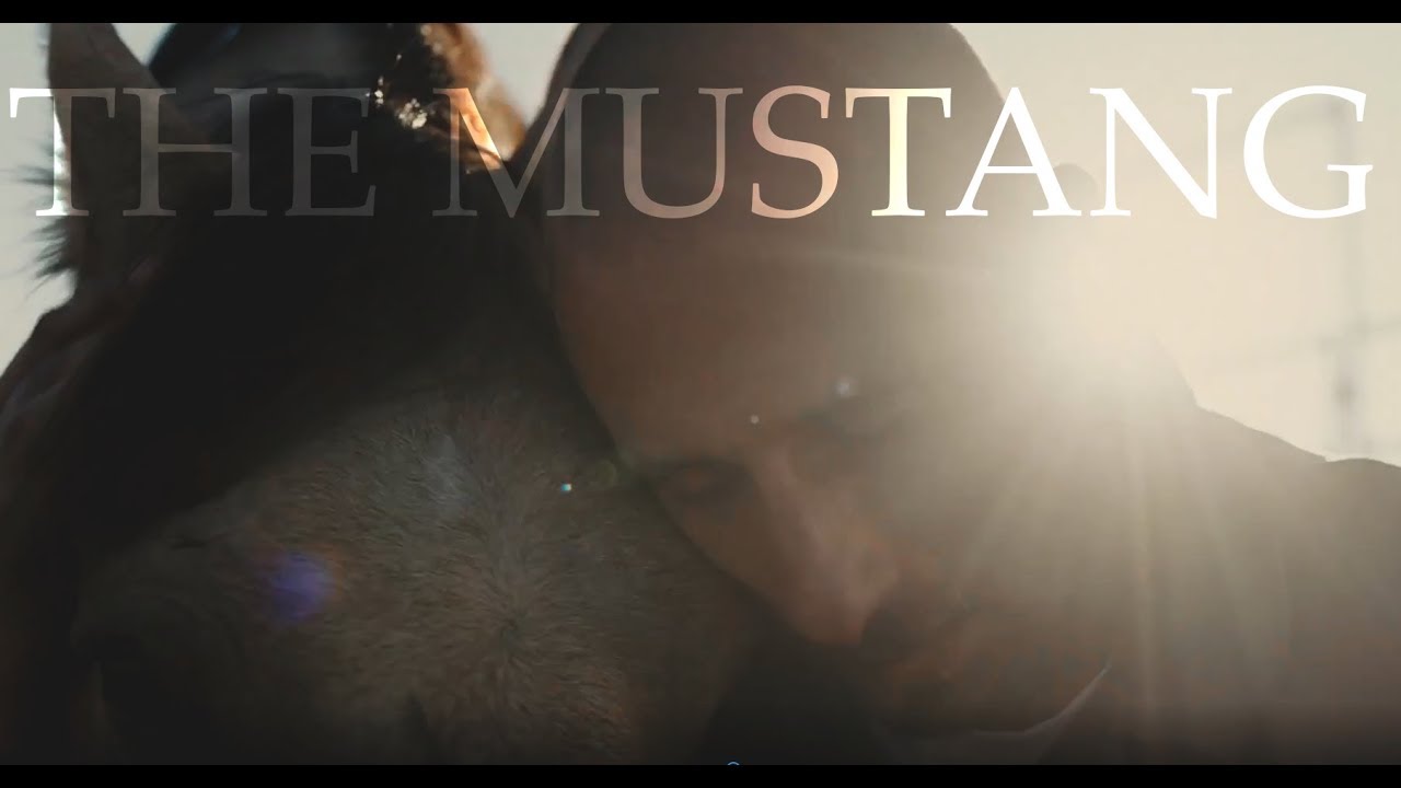 Matthias Schoenaerts - THE MUSTANG (Movie 2019)