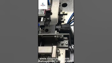 German type hose clamp machine#machine #Sinuowei#hose clamp machine #pipe clamp #automatic #machine