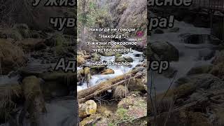 #мудрыеслова #мудрыемысли #мудрыесоветы #мудрыецитаты #цитатыпрожизнь #цитатысосмыслом #цитатадня