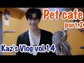 Kaz's VlogーTour in a Pet cafe! part.2