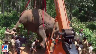വയനാട് വൈദ്യുതാഘാതമേറ്റ് ചരിഞ്ഞ ആനയുടെ ജഡം ക്രയ്ൻ ഉപയോ​ഗിച്ച് നീക്കി|Wayanad | Panamaram | Elephant