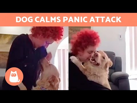 Her DOG CALMS HER DOWN When She Has PANIC ATTACKS 🐶❤️