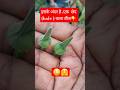 इसके अंदर है ,एक छेद (hole ) वाला बीज 🤔🧐 #plants #budtransition #seedpod