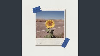 Sunflower's Letter - 王謙Goatak